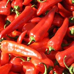 Erdal Arslan Organic Red Capia Pepper  KG 