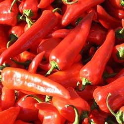 MimSera Organic Red Capia Pepper  KG 