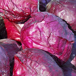Ersöz Organic Purple Cabbage  KG 