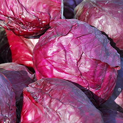 MimSera Organic Purple Cabbage  KG 