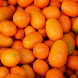 DEĞİRMEN ÇİFTLİĞİ Organic Kumquat (KG)