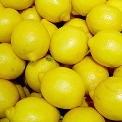 AKDENİZ BAHÇESİ Organic Lemon  KG 