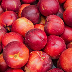 Cityfarm Organic Nectarine (KG)