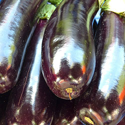 Kale Organic Eggplant (KG)