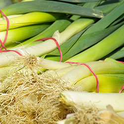 MimSera Organic Leek  KG 