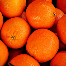 YERLİM Organic Orange  Valencia   KG 