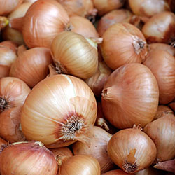 Karlıdağ Organic Onion (KG)