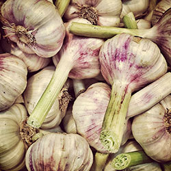 DEĞİRMEN ÇİFTLİĞİ Organic Garlic (Fresh, KG)