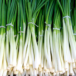 Karlıdağ Organic Green Onion  Pcs 