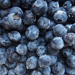 Berva Organic Blueberry 125g