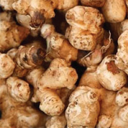 Mimsera Organic Jerusalem Artichoke  KG 