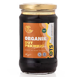 OTS Organik Dut Pekmezi 380g