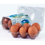 Sade Organic Egg 6 Pcs