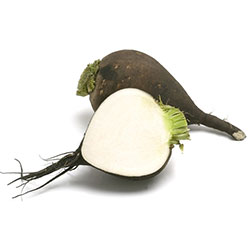 Cityfarm Organic Black Radish (KG)