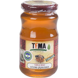 TEMA Organic Flower Honey 480g