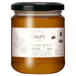 Umay Organic Pine Tree Honey 480g