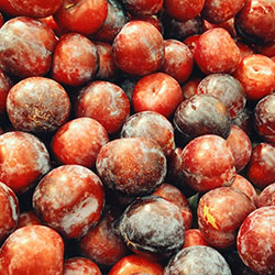 YERLİM Organic Red Plum (KG)