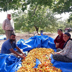 Biojin Yaşam Organic Farming, Hasan İmer