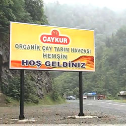 Çaykur Çay İşletmeleri (Organik Çay Tarım Havzası)