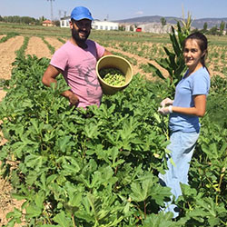 Ersöz Organic Farm, Afyon Turkey