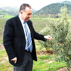 İlhan Sarı Organic Olive Farm