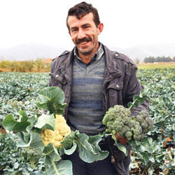 Kale Organic Farm, Kalecik Ankara