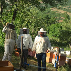 Pülümür Agricultural Development Cooperative, Tunceli Turkey