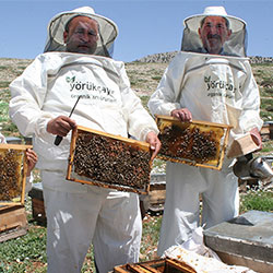 Şahbaz Çay Organic Beekeeper, Turkey